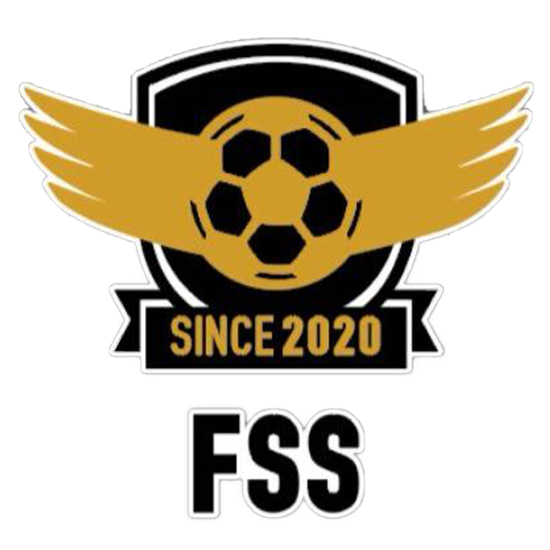 fss11-logo.png