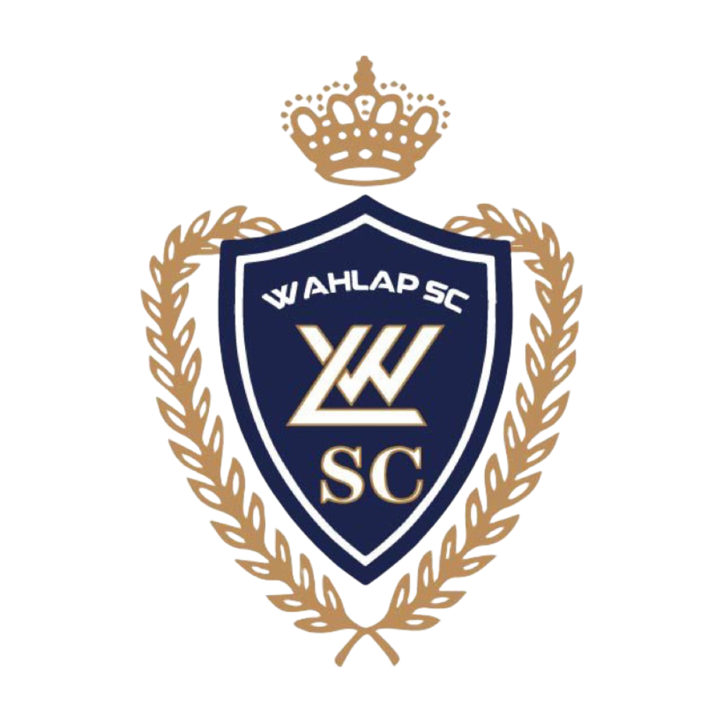 wahlap-logo.png