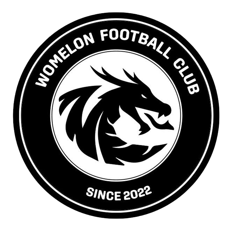 womelon-logo.png